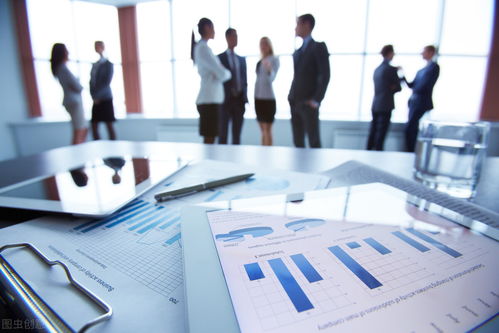 信息化浪潮下的企業(yè)信息化管理 概念、內(nèi)涵與技術咨詢的橋梁作用